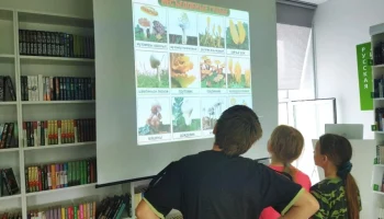 Азбука безопасности &laquo;Лесные правила&raquo;